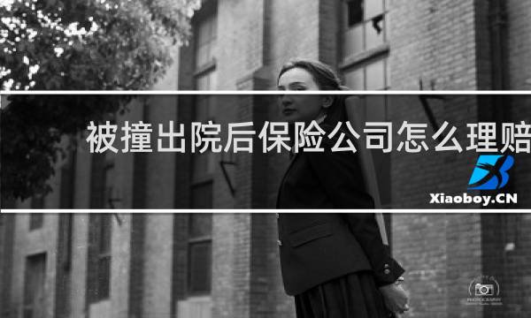 被撞出院后保险公司怎么理赔图片