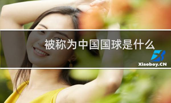 被称为中国国球是什么