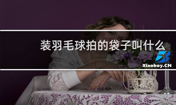 装羽毛球拍的袋子叫什么