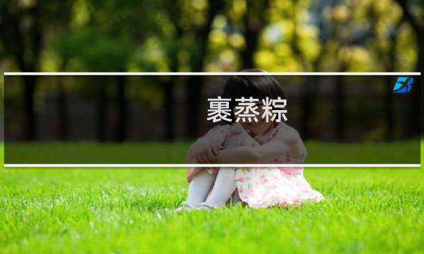 裹蒸粽(黄埔区特产)