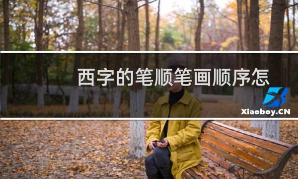 西字的笔顺笔画顺序怎么写（西字的笔顺）