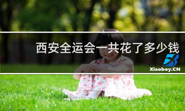 西安全运会一共花了多少钱