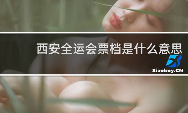 西安全运会票档是什么意思