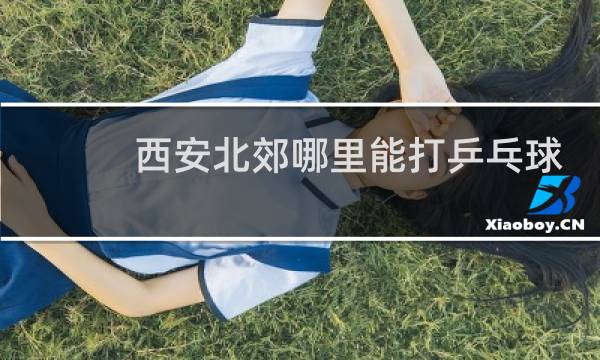 西安北郊哪里能打乒乓球