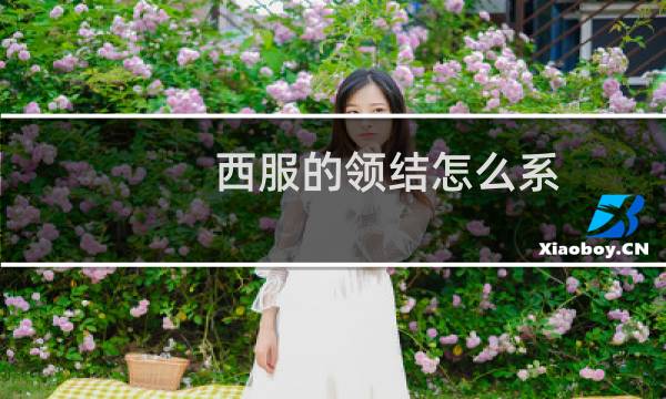 西服的领结怎么系