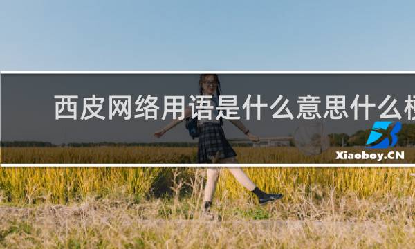 西皮网络用语是什么意思什么梗