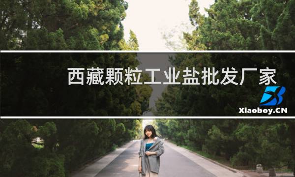 西藏颗粒工业盐批发厂家图片