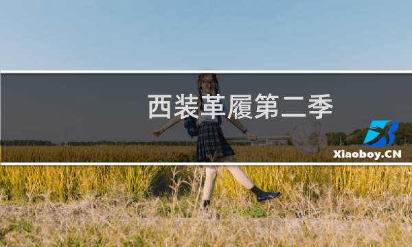 西装革履第二季