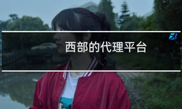 西部的代理平台,说备案有问题,帮看看怎么整好点