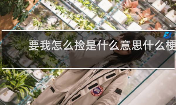 要我怎么捡是什么意思什么梗