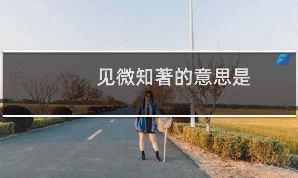 见微知著的意思是（见微知著的意思是）图片