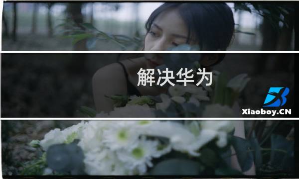 解决华为 路由设置wan口获取动态ip后无法上网