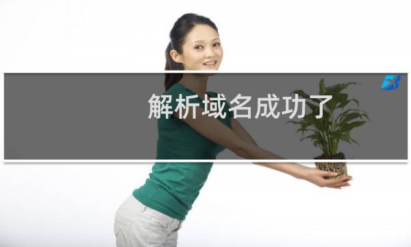 解析域名成功了,可是把域名一旦绑定不显示