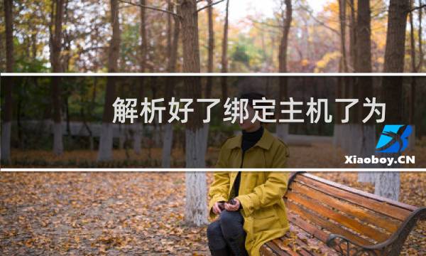 解析好了绑定主机了为啥还是访问不了