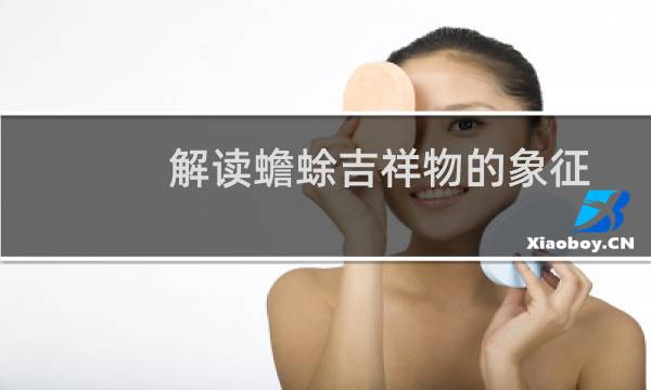 解读蟾蜍吉祥物的象征意义图片