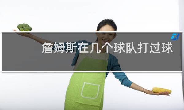 詹姆斯在几个球队打过球