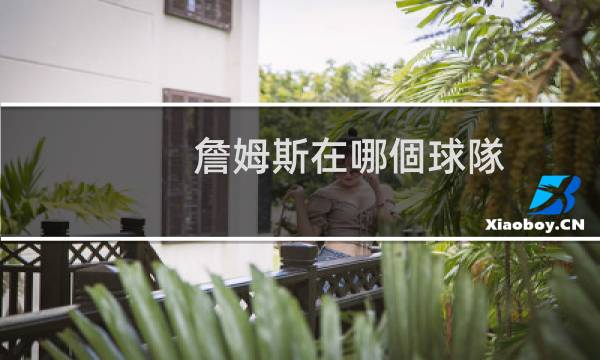 詹姆斯在哪個球隊