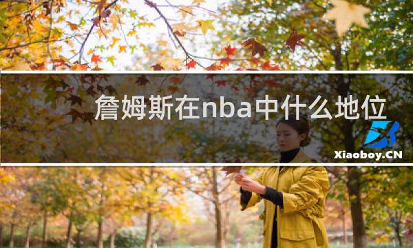 詹姆斯在nba中什么地位