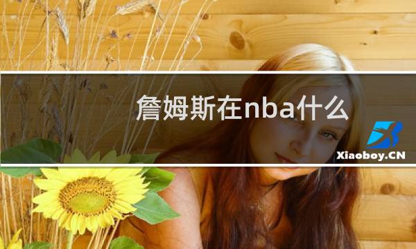 詹姆斯在nba什么