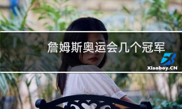 詹姆斯奥运会几个冠军