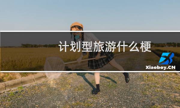 计划型旅游什么梗？什么梗