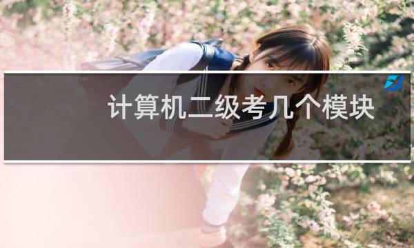 计算机二级考几个模块呢