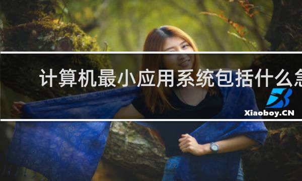 计算机最小应用系统包括什么急