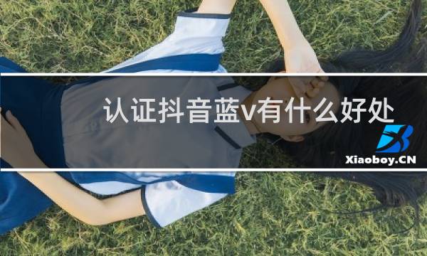认证抖音蓝v有什么好处