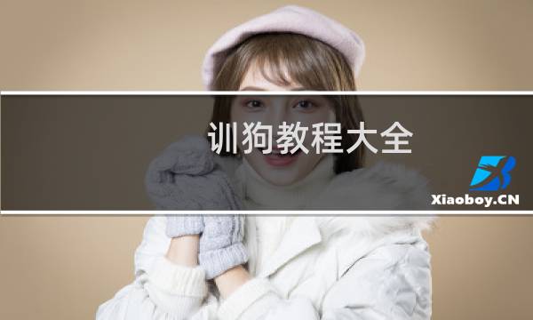 训狗教程大全（训狗教程）图片
