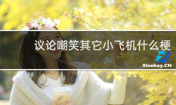 议论嘲笑其它小飞机什么梗