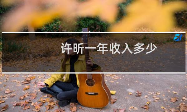 许昕一年收入多少