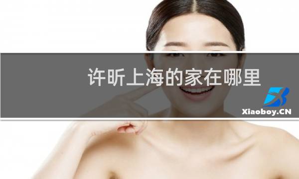 许昕上海的家在哪里