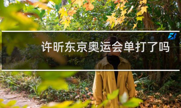 许昕东京奥运会单打了吗