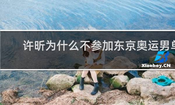 许昕为什么不参加东京奥运男单
