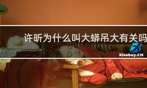 许昕为什么叫大蟒吊大有关吗