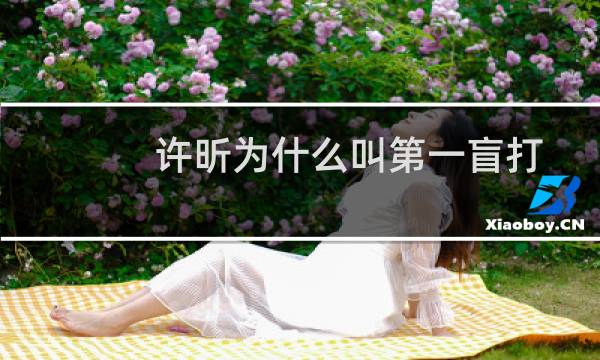 许昕为什么叫第一盲打