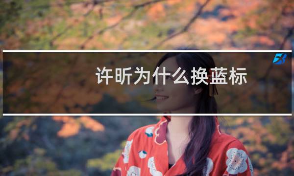 许昕为什么换蓝标