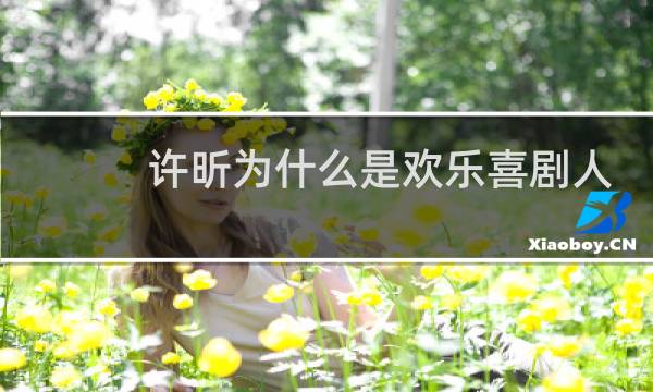 许昕为什么是欢乐喜剧人