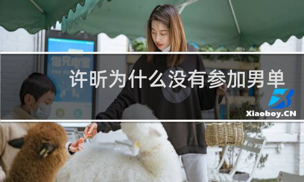 许昕为什么没有参加男单