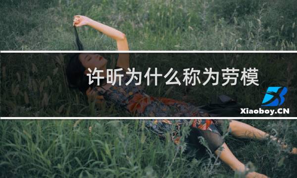 许昕为什么称为劳模