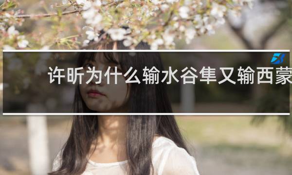 许昕为什么输水谷隼又输西蒙