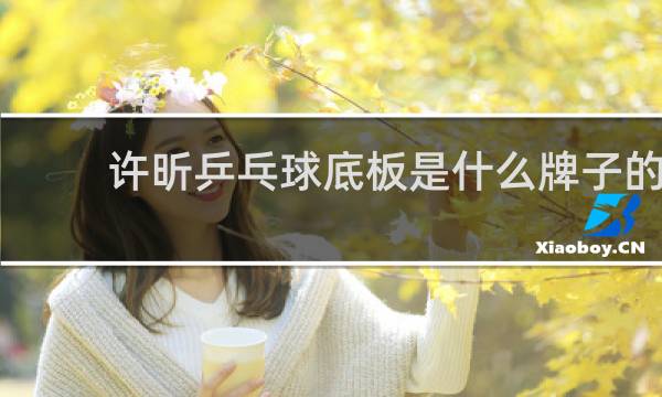 许昕乒乓球底板是什么牌子的