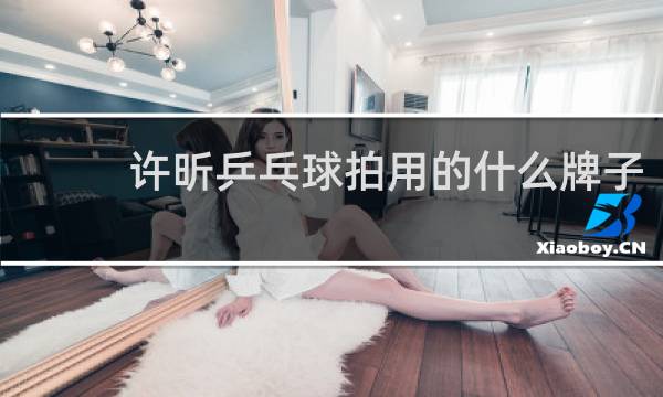 许昕乒乓球拍用的什么牌子
