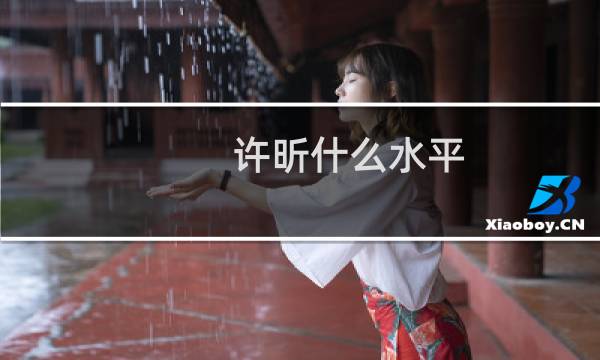 许昕什么水平
