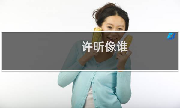 许昕像谁