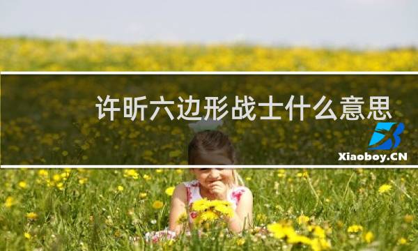 许昕六边形战士什么意思