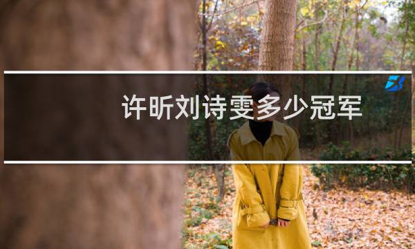 许昕刘诗雯多少冠军