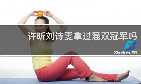 许昕刘诗雯拿过混双冠军吗