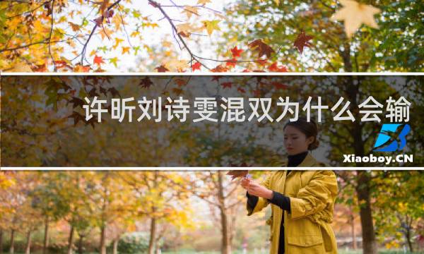 许昕刘诗雯混双为什么会输