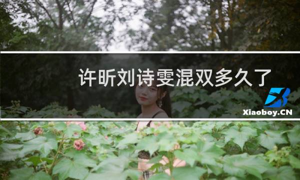 许昕刘诗雯混双多久了